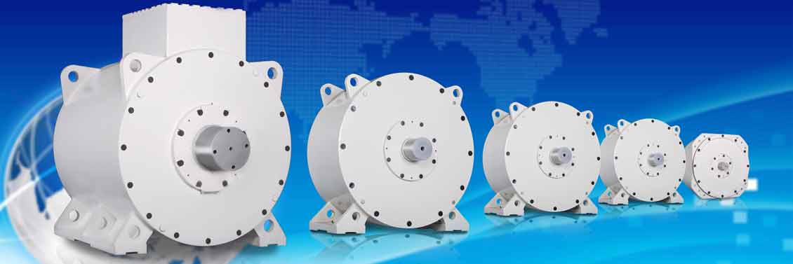 Permanent Magnet Motor Series